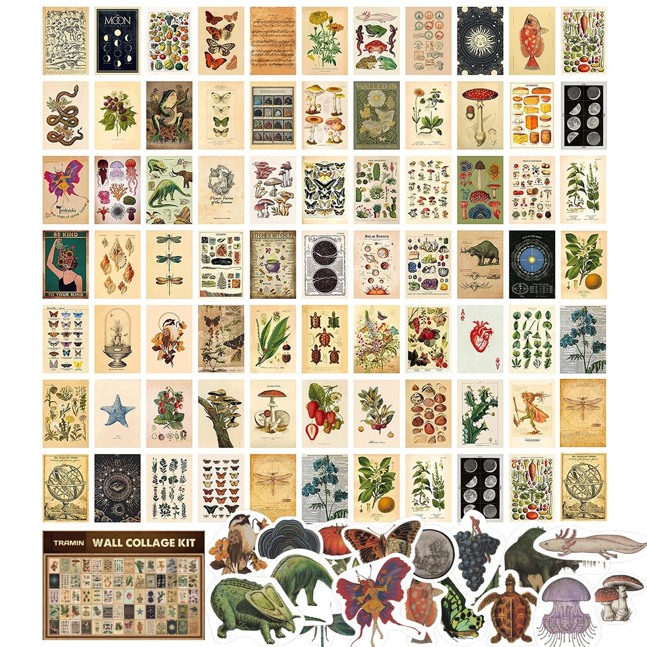 TRAMIN 100 PCS Vintage Posters, Collage Kit Aesthetic Pictures, Cottagecore Room Decor for Bedroom, Cute Dorm Photo Wall Decor for Teen Girls, Botanical Wall Art…